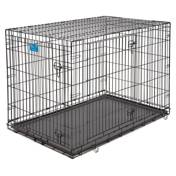 Midwest Homes For Pets Life Stages Fold & Carry Double Door Pet Crate